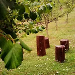 Nektar Park Sara 别墅 Bihać