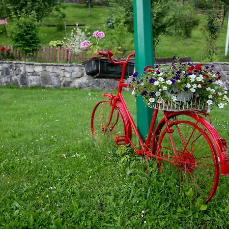 Nektar Park Sara * Bihać