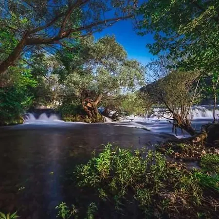 Nektar Park Sara Bihać