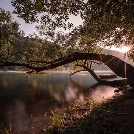 Nektar Park Sara فيلة