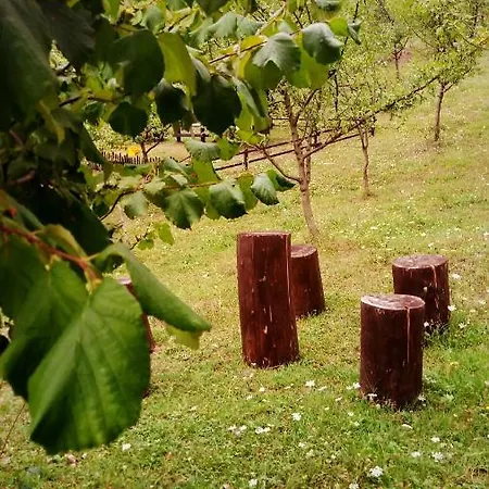 Nektar Park Sara 别墅 Bihać