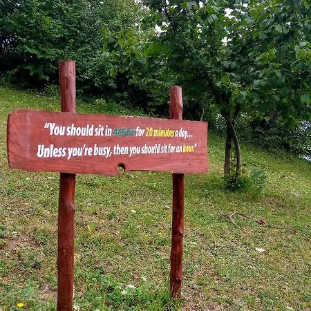 Nektar Park Sara Bihać