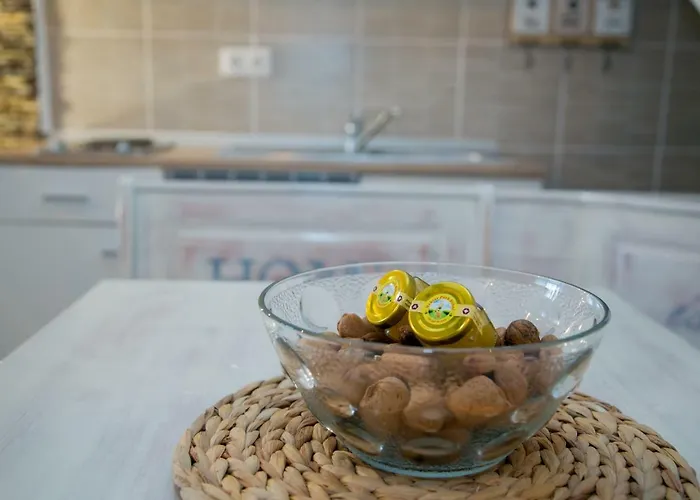 Villa Nektar Park Sara Bihać