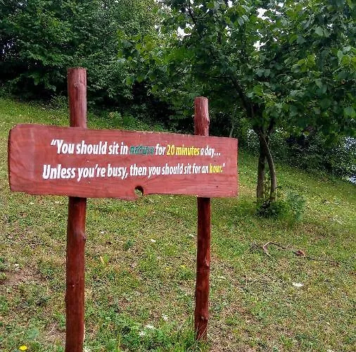 Nektar Park Sara Bihać